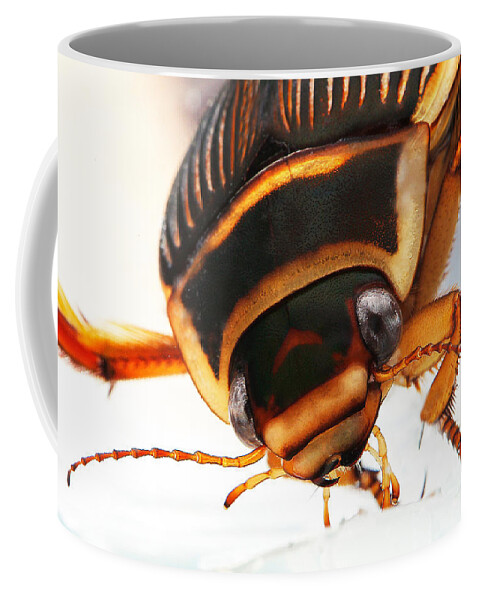 Adult Coffee Mug featuring the photograph Great Diving Beetle Dytiscus Marginalis #3 by Gerard Lacz