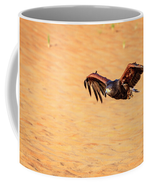 Dubai Coffee Mug featuring the photograph Harris Hawk #3 by Alexey Stiop