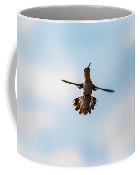 Hummingbird Coffee Mug featuring the photograph Hummingbird by Holden The Moment