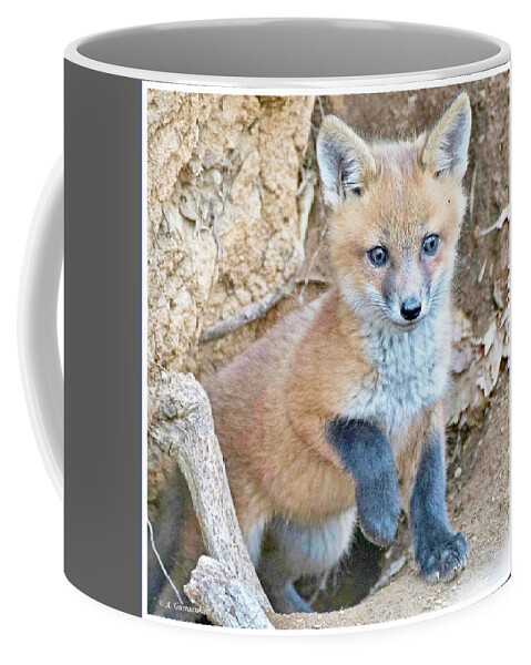 Kit Fox Coffee Mug featuring the photograph Kit Fox, Animal Portrait #1 by A Macarthur Gurmankin