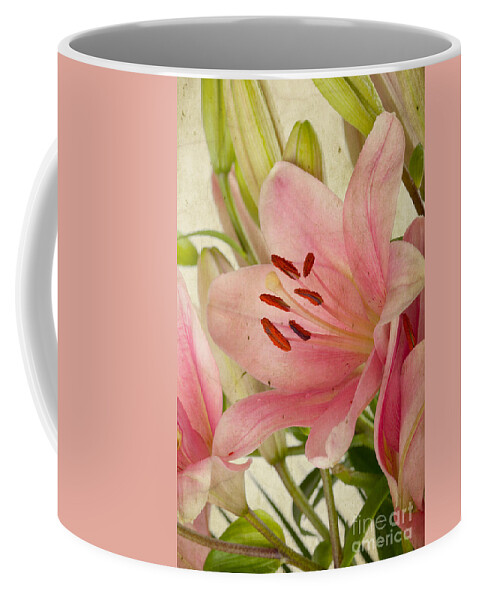 Lily Coffee Mug featuring the photograph Pink Lilies by Nailia Schwarz