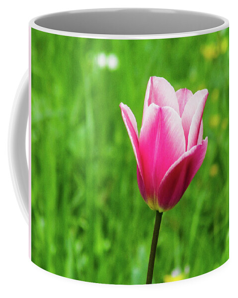 Tulip Coffee Mug featuring the photograph Tulip #3 by Cesar Vieira