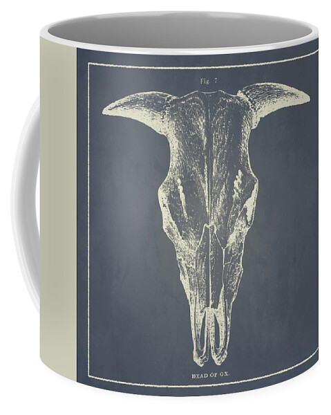 Vintage Coffee Mug featuring the drawing Vintage Ox Head #3 by Vintage Pix