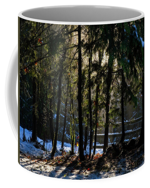 Light Coffee Mug featuring the photograph Winter Light #1 by Inge Riis McDonald
