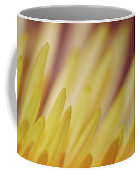 Photograph Coffee Mug featuring the photograph Yellow Mum Petals #3 by Larah McElroy