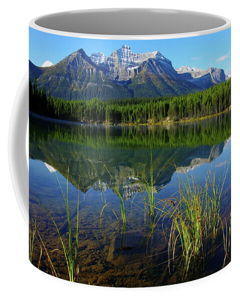Reflection Coffee Mug featuring the photograph Reflection #30 by Jackie Russo