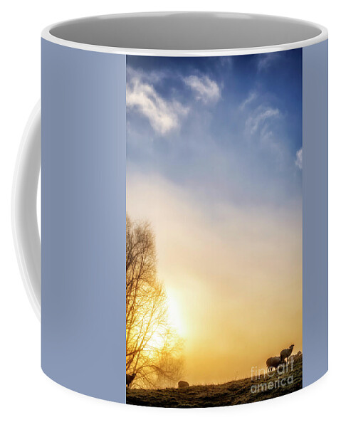 Sunrise Coffee Mug featuring the photograph Misty Mountain Sunrise #31 by Thomas R Fletcher
