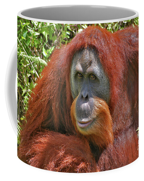 Bonnie Coffee Mug featuring the photograph 31- Orangutan by Joseph Keane