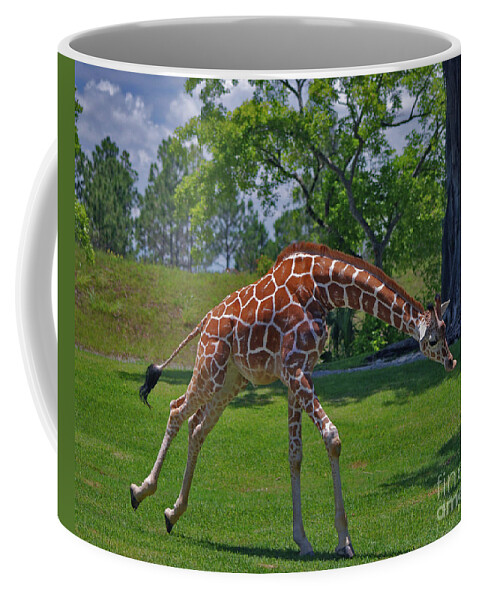 Wildlife Coffee Mug featuring the photograph 32- Junior by Joseph Keane