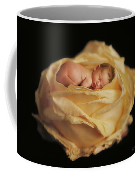 Rose Coffee Mug featuring the photograph Garden Rose by Anne Geddes