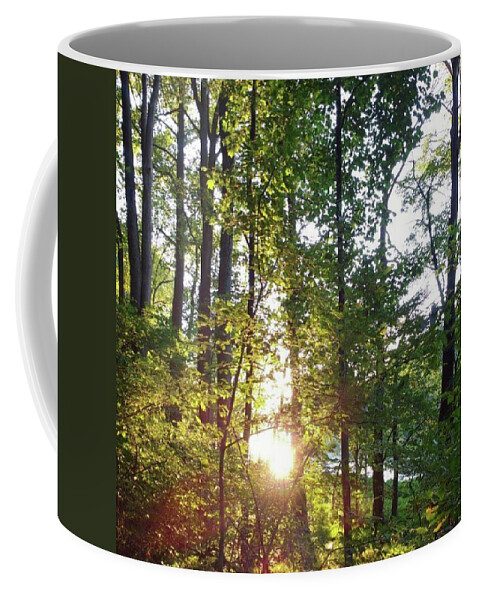 Nature Coffee Mug featuring the photograph Through The Trees by Jessica Louis
