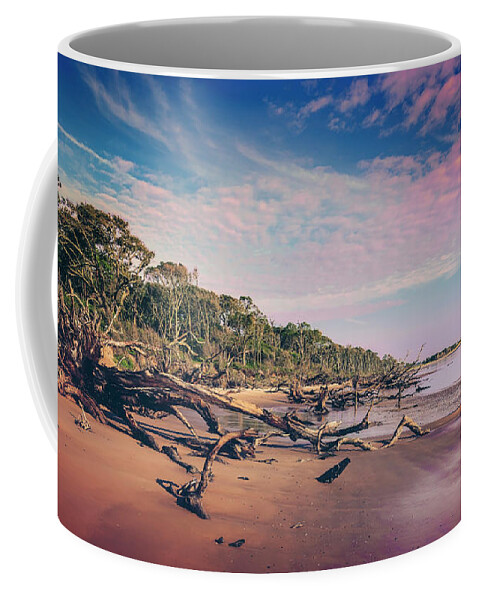Big Talbot Island Coffee Mug featuring the photograph Black Rock Beach #4 by Peter Lakomy