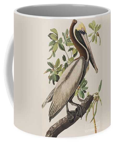 Brown Pelican Coffee Mug featuring the painting Brown Pelican by John James Audubon