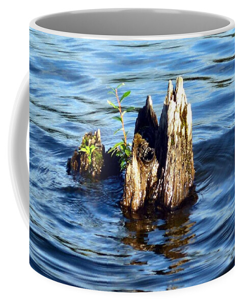 Driftwood Coffee Mug featuring the photograph 4-DRIFTWOOD ART - LAKE KAPOWSIN Washington by A L Sadie Reneau