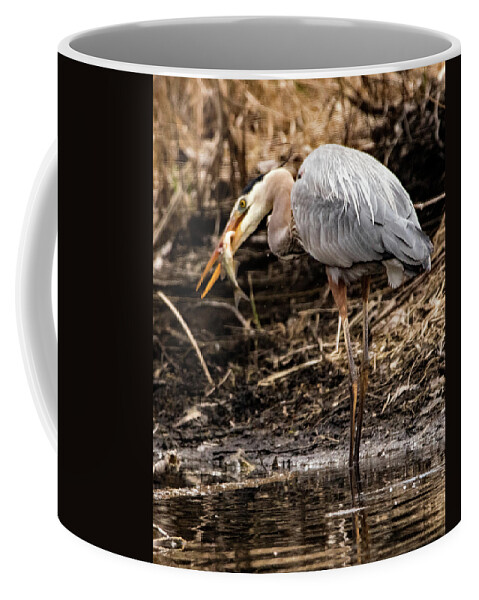 Great Blue Heron Coffee Mug featuring the photograph Great Blue Heron #5 by Ira Marcus