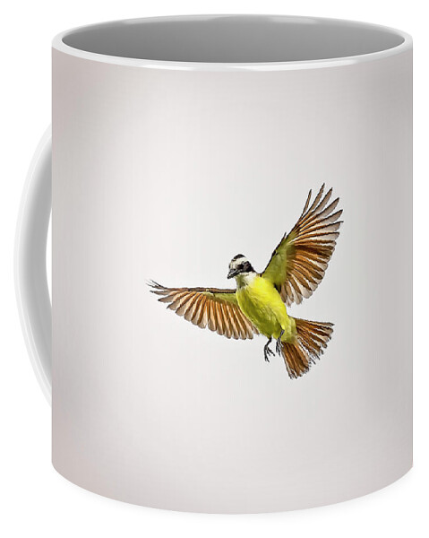 Animal Coffee Mug featuring the photograph Great Crested Flycatcher #4 by Peter Lakomy