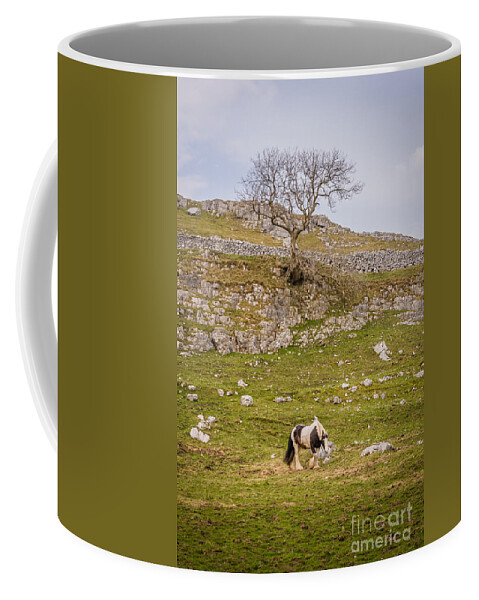 D90 Coffee Mug featuring the photograph Horse by Mariusz Talarek