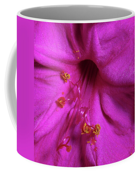 Nature Coffee Mug featuring the photograph 4 O'clock Bloom by Richard Rizzo