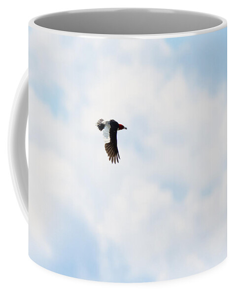 Red-headed Woodpecker Coffee Mug featuring the photograph Red-Headed Woodpecker by Holden The Moment