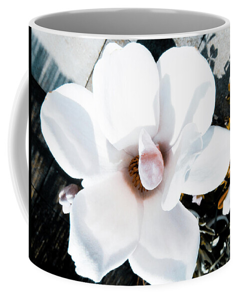 Spring Coffee Mug featuring the photograph Springtime #4 by Cesar Vieira