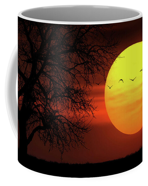 Autumn Coffee Mug featuring the photograph Sunset #4 by Bess Hamiti