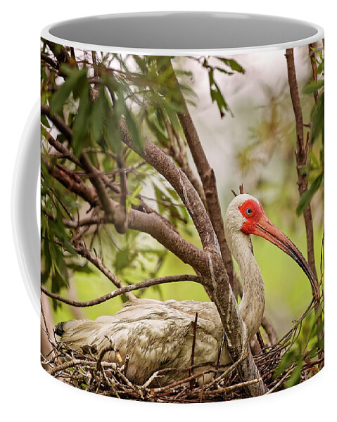 Albus Coffee Mug featuring the photograph White Ibis in Hilton Head Island #4 by Peter Lakomy