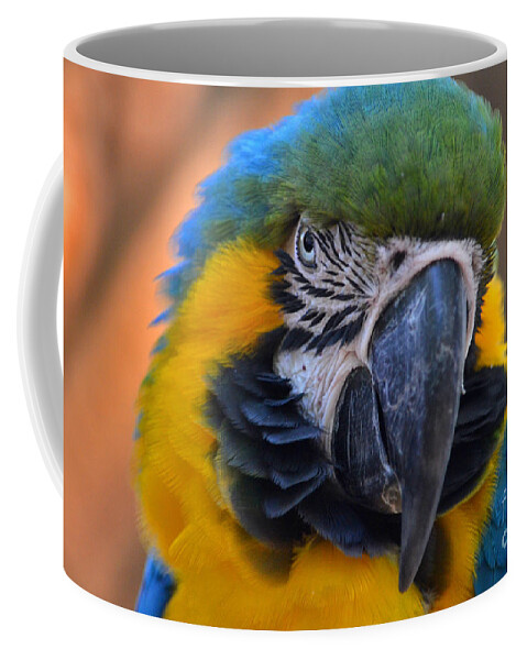 Blue And Gold Macaw Coffee Mug featuring the photograph 40- Blue And Gold Macaw by Joseph Keane