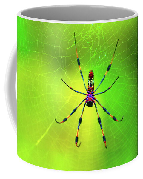 Banana Spider Coffee Mug featuring the digital art 42- Come Closer by Joseph Keane