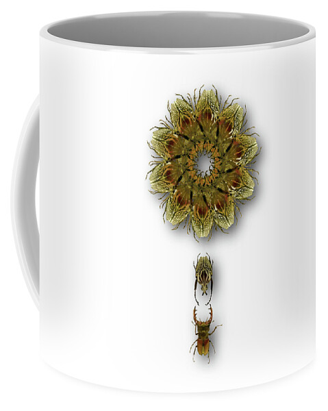Insects Coffee Mug featuring the photograph 4421 by Peter Holme III