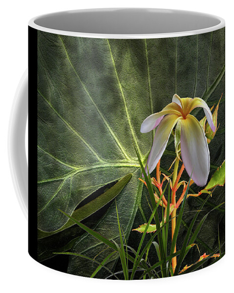 Tropical Coffee Mug featuring the photograph 4662 by Peter Holme III
