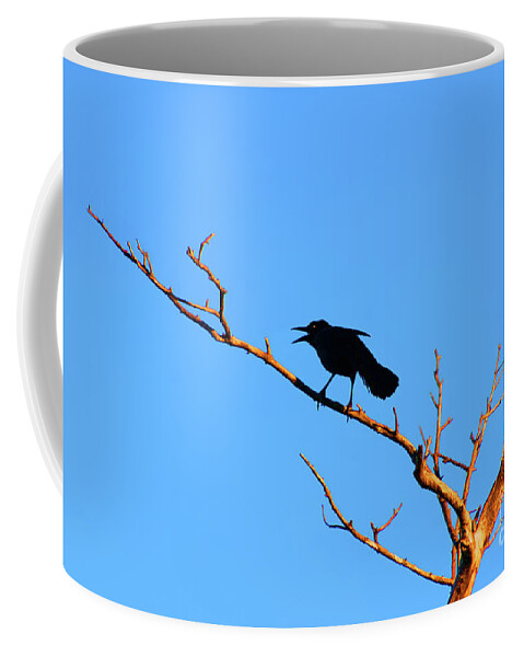  Coffee Mug featuring the photograph 47- Crow For Me by Joseph Keane