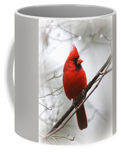 Northern Cardinal Coffee Mug featuring the photograph 4772-001 - Northern Cardinal by Travis Truelove
