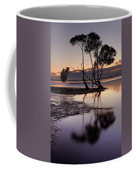 Mangrove Coffee Mug featuring the photograph Beachmere #5 by Robert Charity