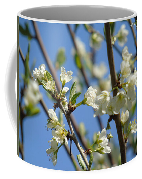 Spring Coffee Mug featuring the photograph Details #5 by Yohana Negusse