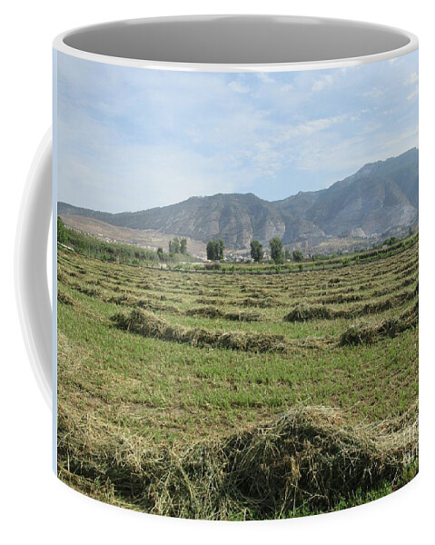 Field Coffee Mug featuring the photograph Field near Padul #5 by Chani Demuijlder