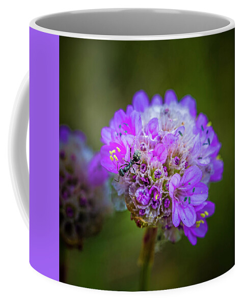 Macro Coffee Mug featuring the photograph Flowers #5 by Elmer Jensen