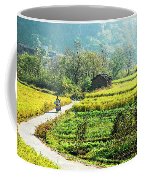 Rice Coffee Mug featuring the photograph Rice fields scenery in autumn #5 by Carl Ning