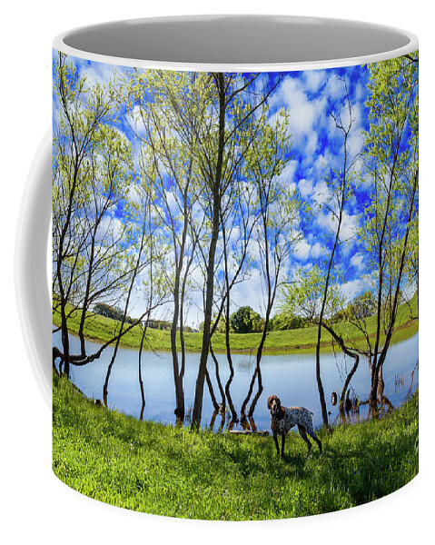 Austin Coffee Mug featuring the photograph Texas Hill Country by Raul Rodriguez