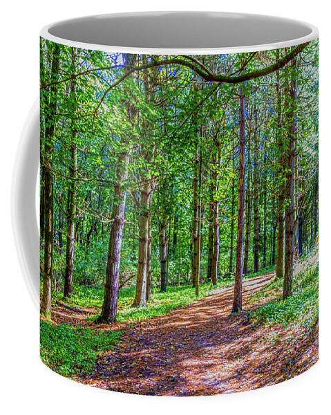 Trees Coffee Mug featuring the photograph The Path #5 by William Norton