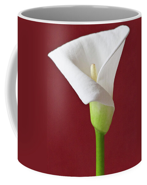 Calla Coffee Mug featuring the photograph White Calla #5 by Heiko Koehrer-Wagner