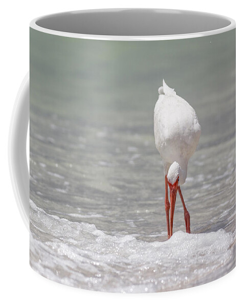 Naples Coffee Mug featuring the photograph White Ibis by Peter Lakomy