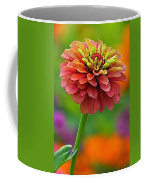 Flower Coffee Mug featuring the photograph 50 Shades of Beautiful by Carolyn Mickulas