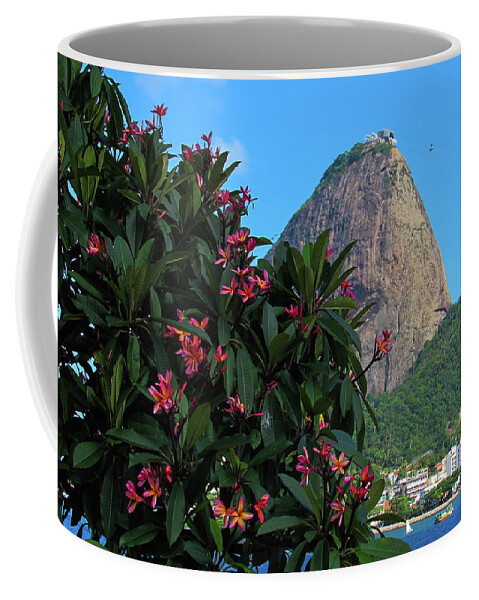 Frangipani Coffee Mug featuring the photograph Rio de Janeiro #52 by Cesar Vieira