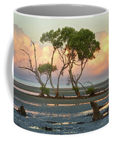 Mangrove Trees Coffee Mug featuring the photograph Beachmere #7 by Robert Charity