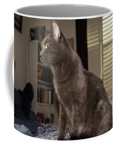 Cats Coffee Mug featuring the photograph Cat #6 by Karl Rose