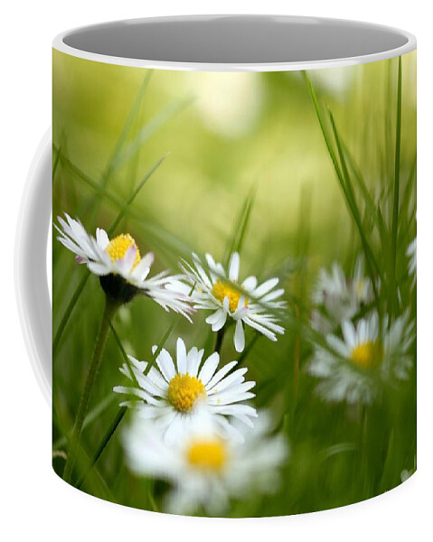 Daisy Coffee Mug featuring the photograph Daisy #6 by Jackie Russo