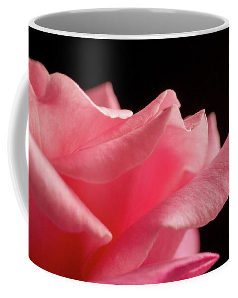 Rose Coffee Mug featuring the photograph On The Edge #6 by Nick Boren