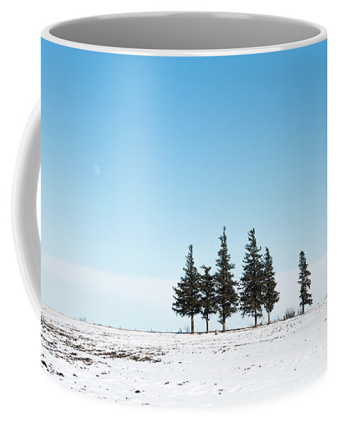 Pines Coffee Mug featuring the photograph 6 Pines And The Moon by Troy Stapek