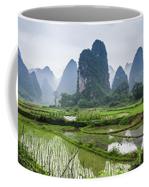 Landscape Coffee Mug featuring the photograph The beautiful karst rural scenery in spring #6 by Carl Ning