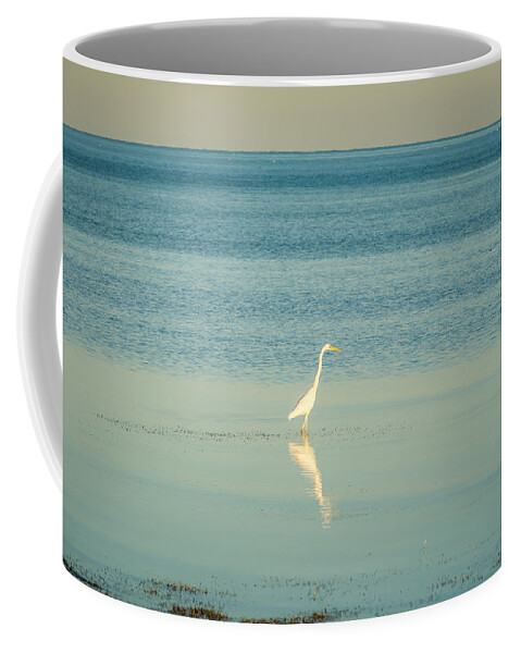 Tranquil Coffee Mug featuring the photograph Tranquil Nature In Florida Keys #6 by Alex Grichenko